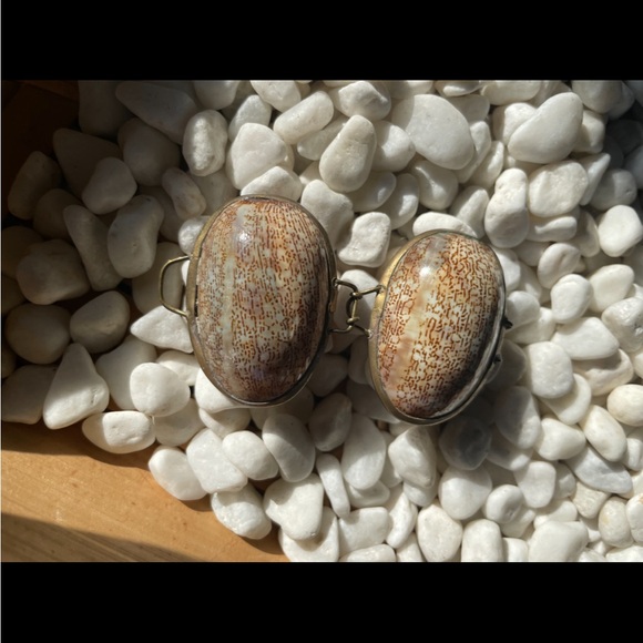 Unique Seashell Trinket Box - Picture 3 of 4